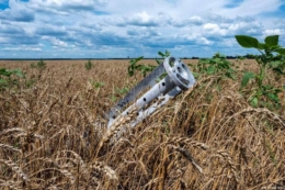 Збитки та втрати агросектору внаслідок війни становлять понад 74 млрд євро