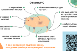 На Львівщині зафіксували спалах АЧС