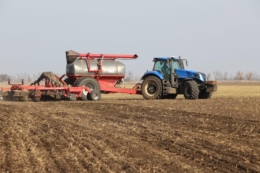 На Волині ярі зернові й зернобобові посіяли на 34% запланованих площ