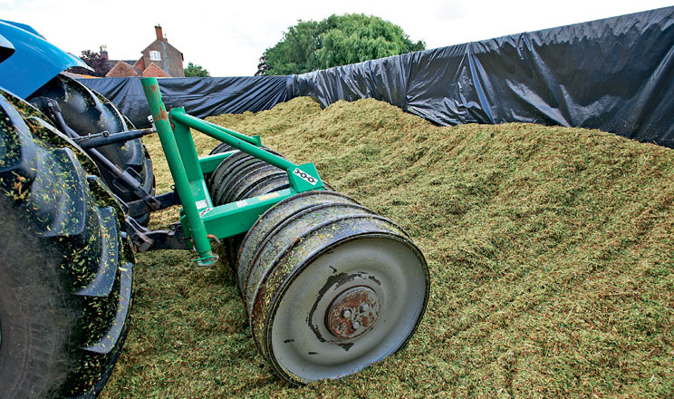 Обробка кукурудзяного силосу високоякісним інокулянтом дає змогу зберегти якомога більше поживного корму
