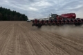 HarvEast почав сіяти кукурудзу на Київщині: під неї відведуть 40% площ
