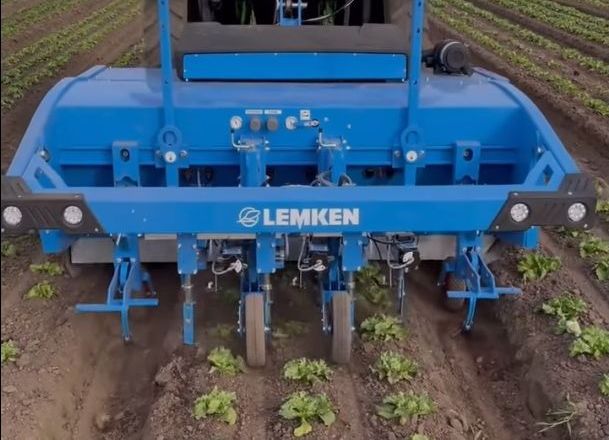 Lemken показала «розумний» культиватор на салатному полі