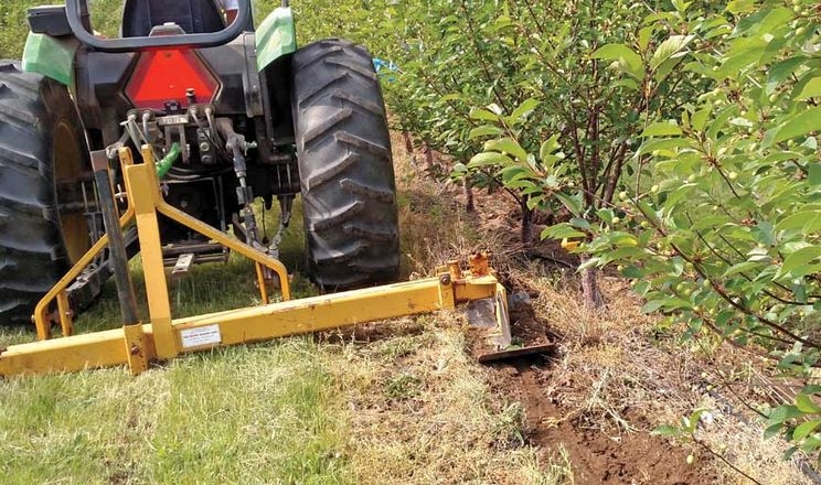 Подвійний агроприйом покращив якість яблук холдингу Vitagro