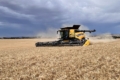 Комбайни Case IH і New Holland тепер аналізують зерно прямо в полі