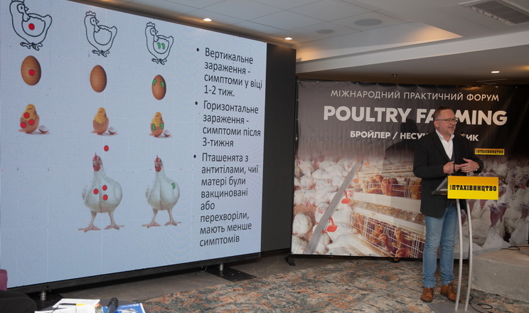 Про здоров’я птиці на Міжнародному форумі Poultry Farming розкажуть вітчизняні й закордонні фахівці