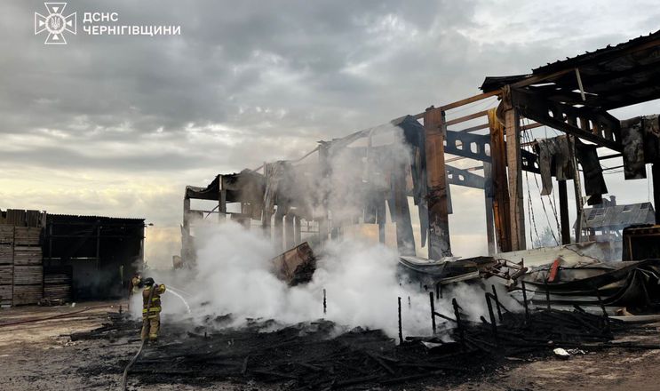 Росіяни атакували картоплярське господарство на Чернігівщині