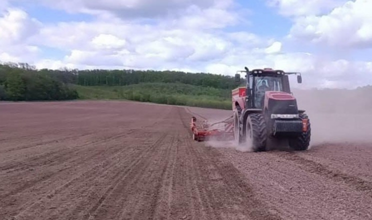 Сівба сої стартувала в «Агротрейд»