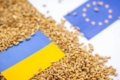 Україна посіла третє місце з обсягів експорту агропродукції до ЄС