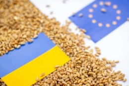 Україна посіла третє місце з обсягів експорту агропродукції до ЄС