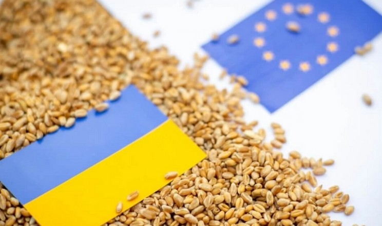 Які обсяги зернових може ввезти Україна до ЄС після запровадження квот
