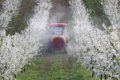Vitagro активно механізує сад через гострий брак робочої сили