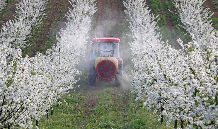 Vitagro активно механізує сад через гострий брак робочої сили