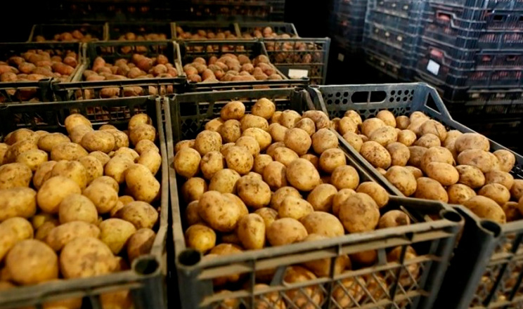 Імпорт продуктів харчування в Україну зростає