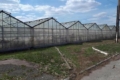 Антрацитівські теплиці «превдягнули» у сучасні матеріали і подовжили їм життя