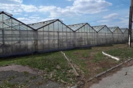 Антрацитівські теплиці «превдягнули» у сучасні матеріали і подовжили їм життя