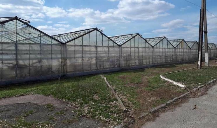 Антрацитівські теплиці «превдягнули» у сучасні матеріали і подовжили їм життя