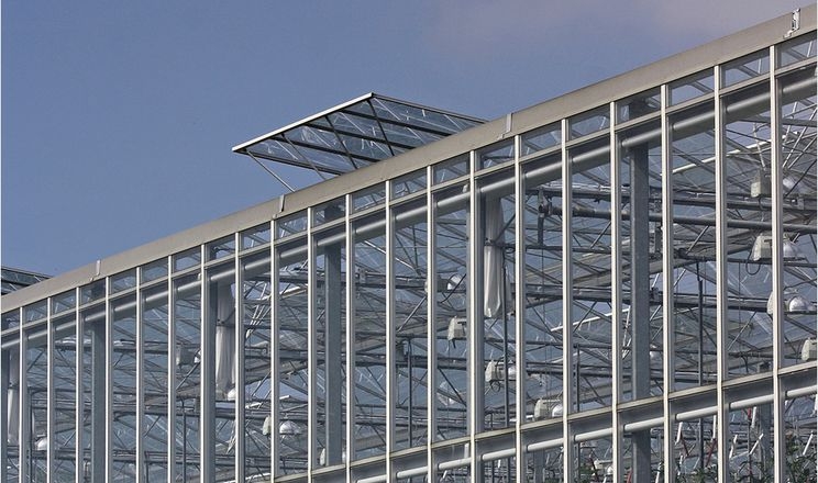 Китай будує агроцентр в пустелі ОАЕ