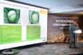 Ефективні технології та культури для теплиць – на форумі у Львові