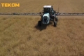 Десикація озимого ріпаку проведена в Tekom Agro Group на частині площ