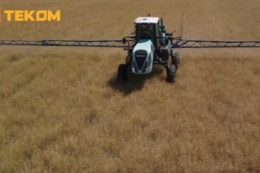 Десикація озимого ріпаку проведена в Tekom Agro Group на частині площ