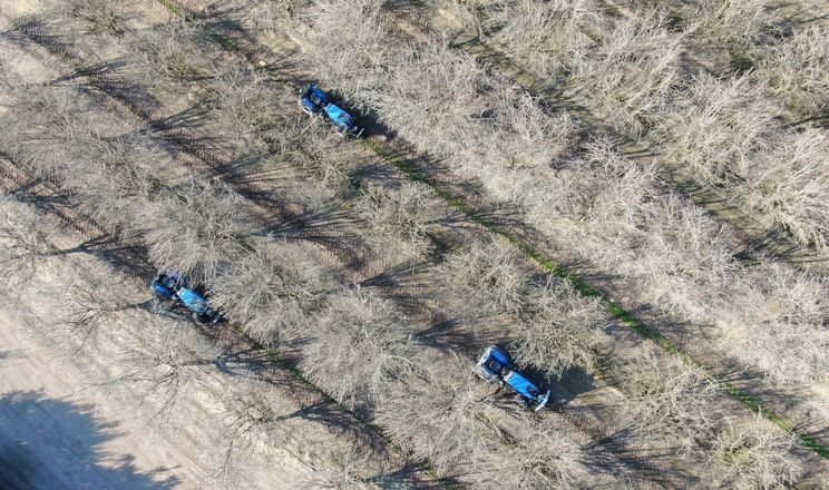 Австралійські горіхові ферми переходять на рої тракторів