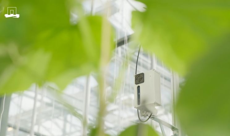 Мобільна камера збирає дані для обробки ШІ у теплиці