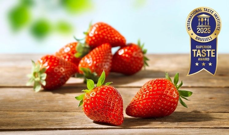 250 кухарів усліпу обрали найсмачнішу полуницю