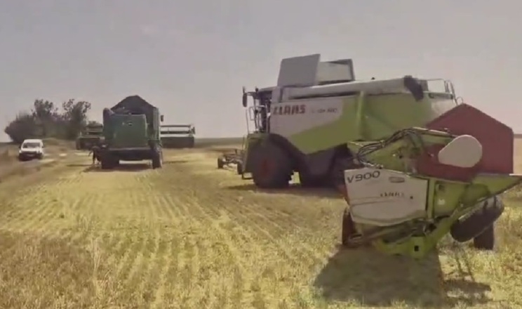 Жнива озимого ячменю стартували в Tekom Agro Group