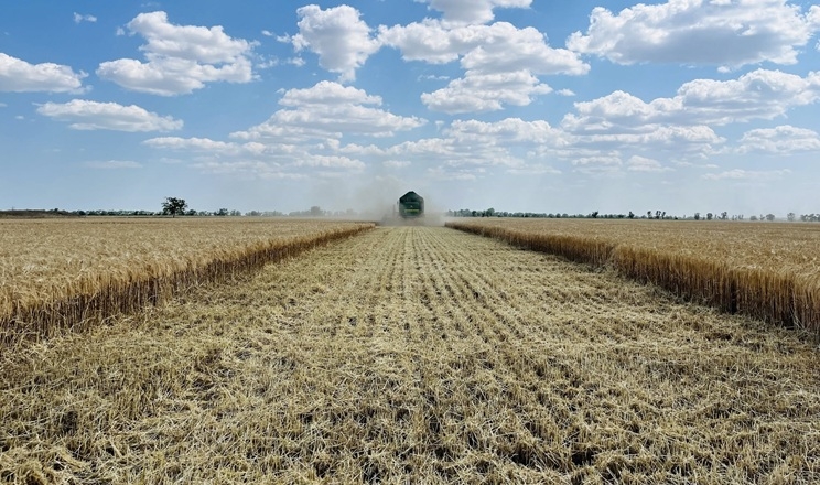 Два господарства агрооб'єднання Tekom Agro Group завершили обмолот озимого ячменю