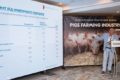 На форумі «Pigs Farming Industry» розкриють можливості різних генетик свиней