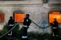 На Дніпропетровщині загинула худоба через атаку БпЛА