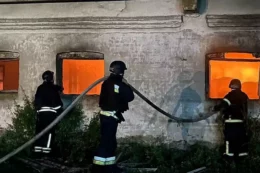 На Дніпропетровщині загинула худоба через атаку БпЛА