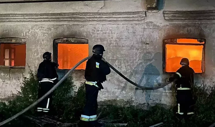 На Дніпропетровщині загинула худоба через атаку БпЛА