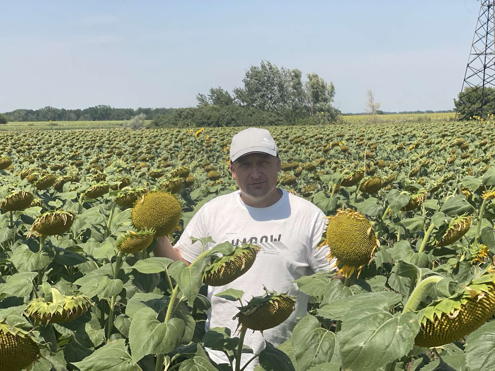 Дмитро Поштар