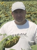 Дмитро Поштар
