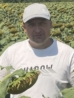Дмитро Поштар