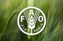Україну обрали до складу Ради ФАО
