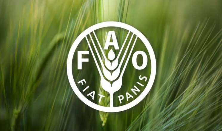 Україну обрали до складу Ради ФАО