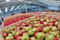 Якісне продування камери РГС забезпечить випарник, який перекриває її на 70%