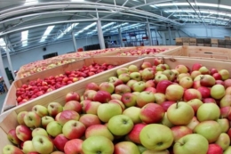 Якісне продування камери РГС забезпечить випарник, який перекриває її на 70%