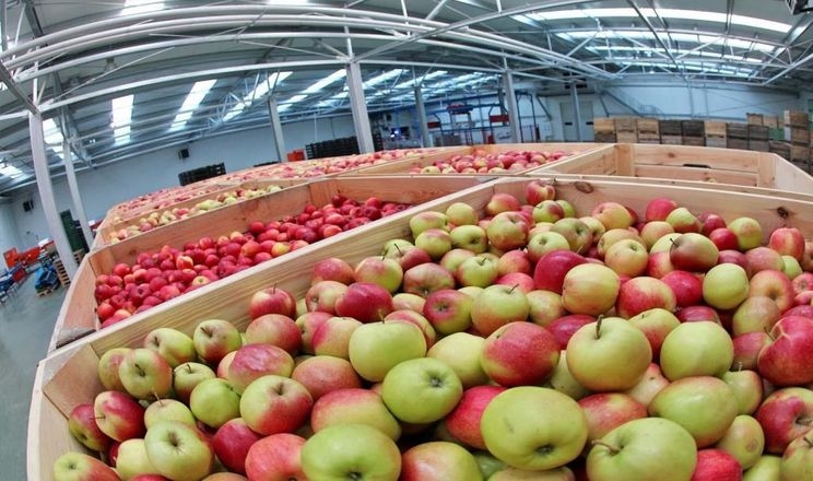 Якісне продування камери РГС забезпечить випарник, який перекриває її на 70%