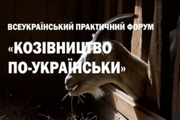 У жовтні відбудеться перший практичний форум для козівників