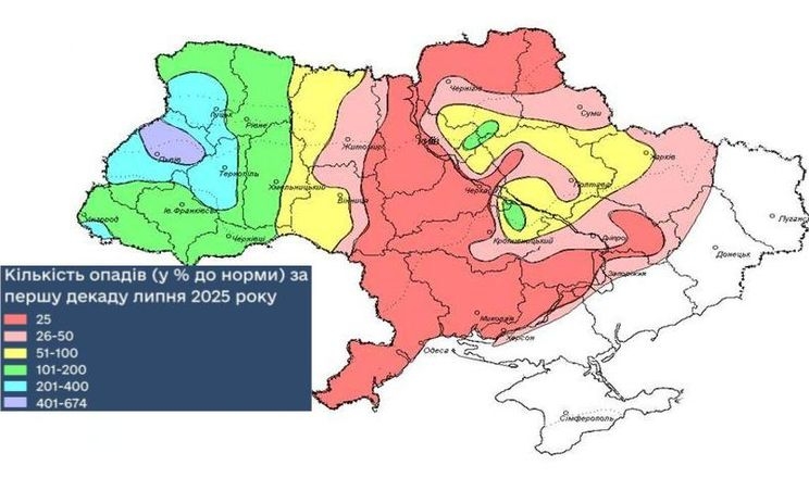 Овочі та ягоди страждають через спеку і зливи першої декади липня