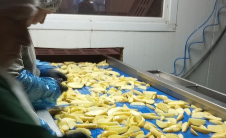 «Зелена гільдія» запустила повний цикл переробки картоплі в Гостомелі