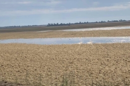 Попереджають про можливе затоплення сільгоспугідь водами Західного Бугу