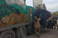 Нідерландські квітникарі та рибалки допомагають українським військовим