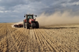 Підготовка до сівби озимих у Tekom Agro Group на Одещині проходить в умовах сильної посухи