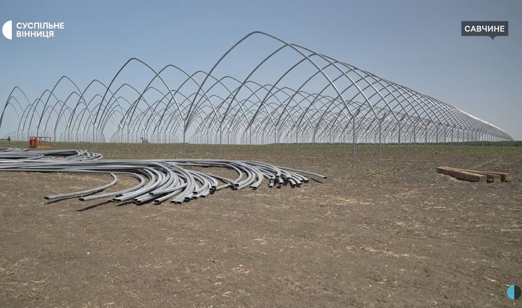 На Вінниччині будують теплиці для суниць