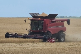 Dnipro Agro Group завершила жнива озимої пшениці: названа врожайність
