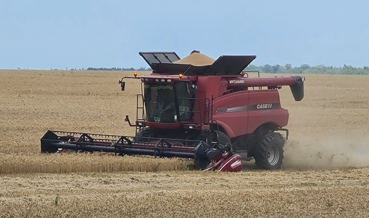 Dnipro Agro Group завершила жнива озимої пшениці: названа врожайність